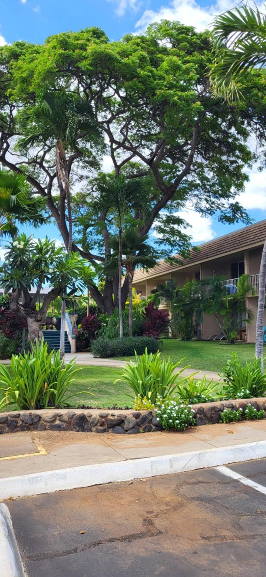 Kihei Kai Nani Resort Esterno foto